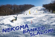 3月19日(水)よりネコママウンテンのバンクドコースオープン、大会エントリースタートは20日 17時より!!