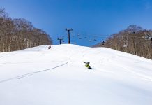 【ネコマ マウンテン】GWまで絶好調!! 春スノーボードを満喫しよう!!  積雪250cm超えで5月6日まで滑走OK!!