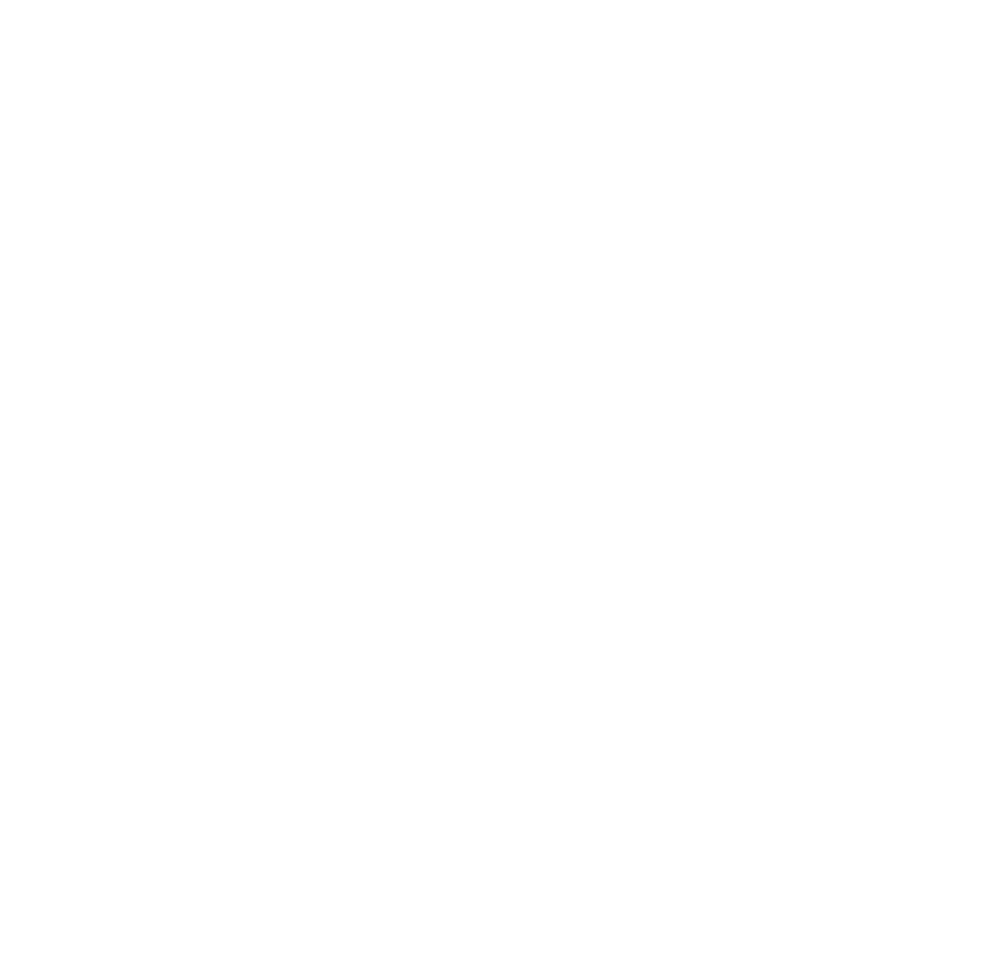 JONES SNOWBOARDS LOGO