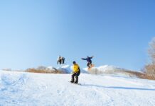 今ならまだ間に合う! 『ネコマ マウンテン』の早割券は12月12日まで!!