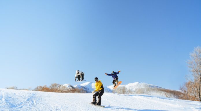 今ならまだ間に合う! 『ネコマ マウンテン』の早割券は12月12日まで!!