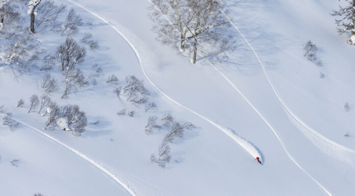 キャットに乗ってドライパウダーの楽園へ。 一生モノの1本を刻むために【星野リゾート トマム】『狩振岳CATツアー』