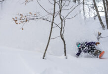 『ネコマ マウンテン』に待望の“ツリーランゾーン”誕生!