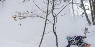 『ネコマ マウンテン』に待望の“ツリーランゾーン”誕生!