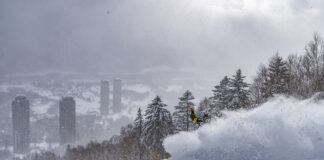 『北海道パウダーベルトをめぐるキャンピングカープラン』 世界が嫉妬するスノーボード天国へパウダートリップ