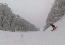 大晦日のネコマ北を芸人ライダーと共に