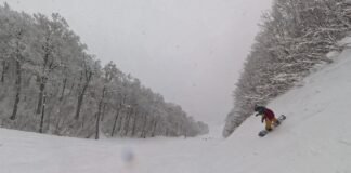 大晦日のネコマ北を芸人ライダーと共に