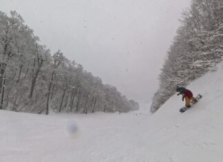大晦日のネコマ北を芸人ライダーと共に