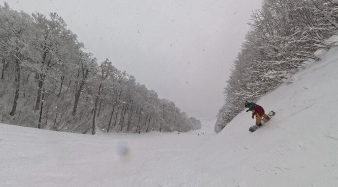 大晦日のネコマ北を芸人ライダーと共に
