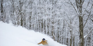 『ネコマ マウンテン』北ゲートインがより便利に!