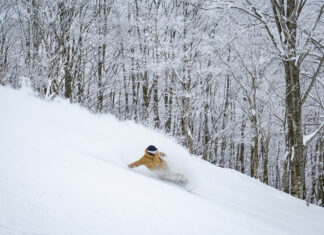 『ネコマ マウンテン』北ゲートインがより便利に!