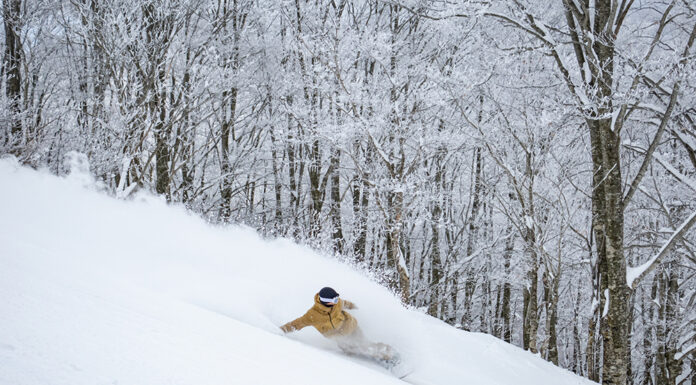 『ネコマ マウンテン』北ゲートインがより便利に!