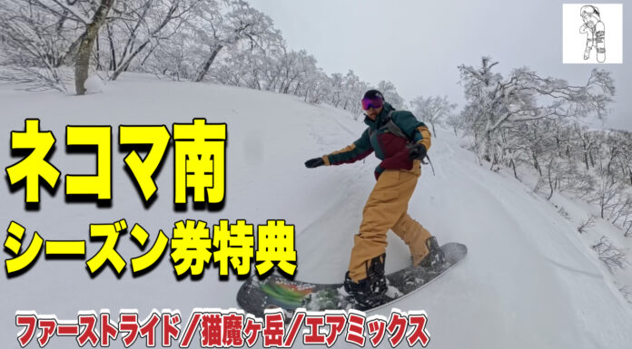 ネコママウンテン南から|シーズン券特典で広がる一日