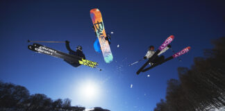 全国のパークフリークを引き寄せるネコマ・パークの魅力とは?