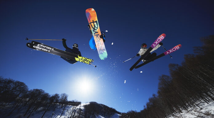 全国のパークフリークを引き寄せるネコマ・パークの魅力とは?