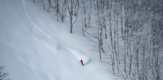 確実にパウダーを滑れる! ネコマ マウンテンの『パウダーディープ』とは?