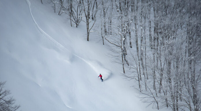 確実にパウダーを滑れる! ネコマ マウンテンの『パウダーディープ』とは?