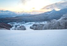 さあ、週末どうする!!『ネコマ マウンテン』春の早朝滑走で最高の滑りと旅を。