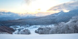 さあ、週末どうする!!『ネコマ マウンテン』春の早朝滑走で最高の滑りと旅を。