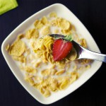 food4.jpg